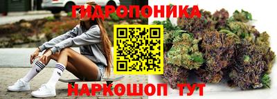 гидра Шелехов