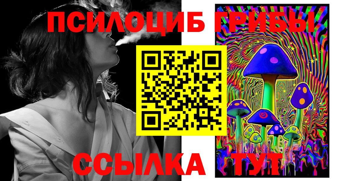 Псилоцибиновые грибы мицелий Белорецк