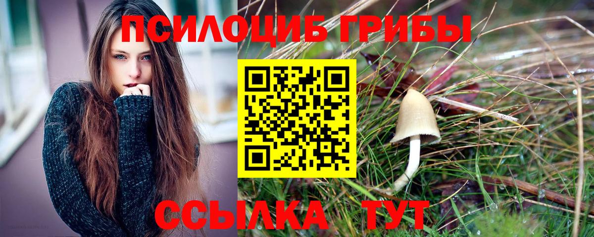 Галлюциногенные грибы Cubensis  Вход с VPN  Белорецк 